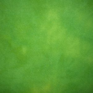 Wool 1/4 yard Piece - Apple Green