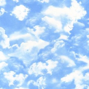 Sunset Sail C9083-Blue Gail