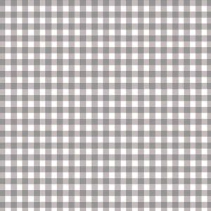 Check Plaid-C5576  SLATE