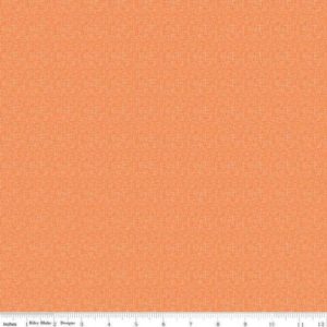 Riley Basics C110-Pumpkin Mini Hashtag