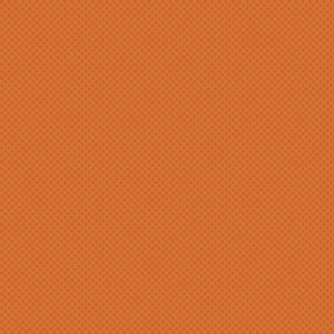 Riley Basics C210-Pumpkin Kisses Tone on Tone