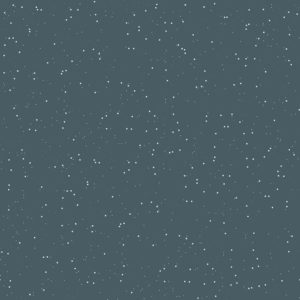 Winterland C10716 Midnight Flurries
