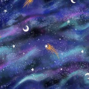 Arctic Nights Bunnies-C1142 Night Arctic Night Sky