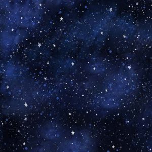 Arctic Nights Bunnies-C1145 Navy Starry Arctic Night