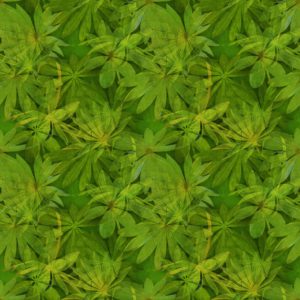 Passion 24497-76 Green Tropical Leaves