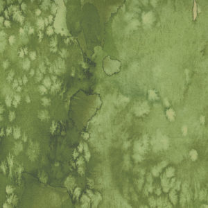 Fresh As A Daisy 8433-47 Fern Watercolor