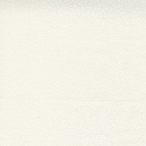 Seashore Drive 37624-11 White on Ivory Ditsy Flowers