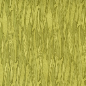 Tulip Tango 48714-15 Chartruese