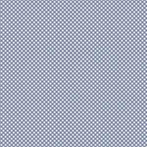 Daisy Fields C12486-Denim Gingham