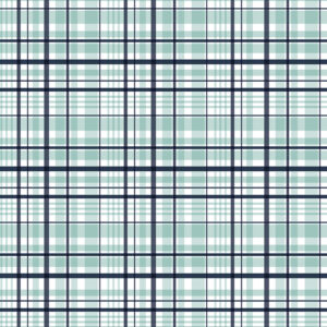 It's A Boy C13253-Aqua Plaid