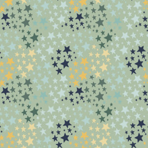 It's A Boy C13254-Sage Stars
