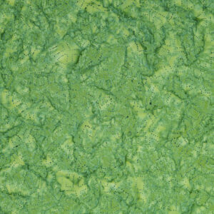 Expressions Batiks Elementals BTHH570-Zoysia