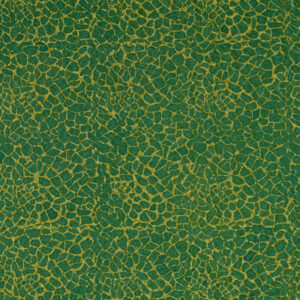 Expressions Batiks Elementals BTHH522-Grass