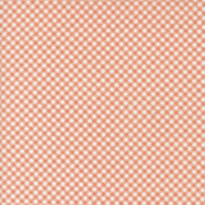 Jelly and Jam 20495-13 Rhubarb Gingham Checks and Plaids