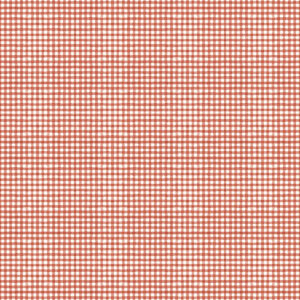 Magical Winterland C14948-Barn Red Gigham