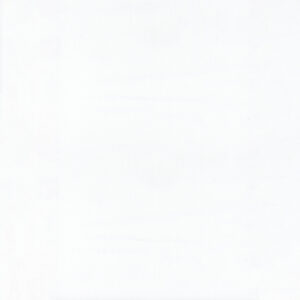 Expressions Batiks Hand Dyes BT21000-111 Snow White