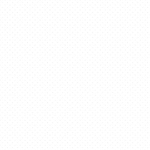 Riley Blake Basics Swiss Dot C790-150 White-on-White