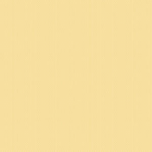 Riley Blake Basics POParazzi in Color C805-Sunshine