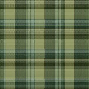 The Mountains are Calling 3137-66 Green Window Pane Plaid