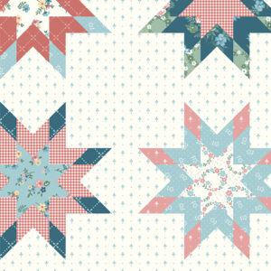 Mary Catherine C16709-Multi Star Cheater Print