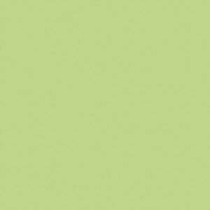 Riley Blake Basics Confetti Cottons C120-Sweet Pea