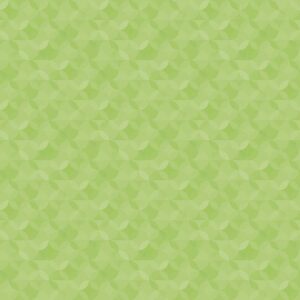 Riley Blake Basics Crayola Kaleidoscope CR480-Key Lime