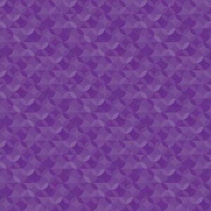 Riley Blake Basics Crayola Kaleidoscope CR480-Pouncy Purple