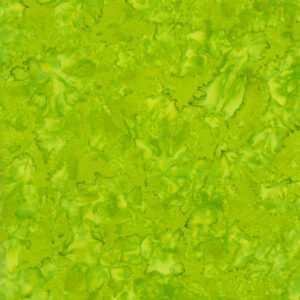 Tonga-B7900 Parakeet