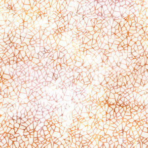 Expression Batiks Kalinda BT23483-124 Spicy Sprinkles