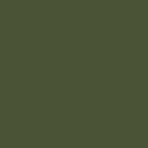 Riley Blake Basics Confetti Cottons C120-Chive
